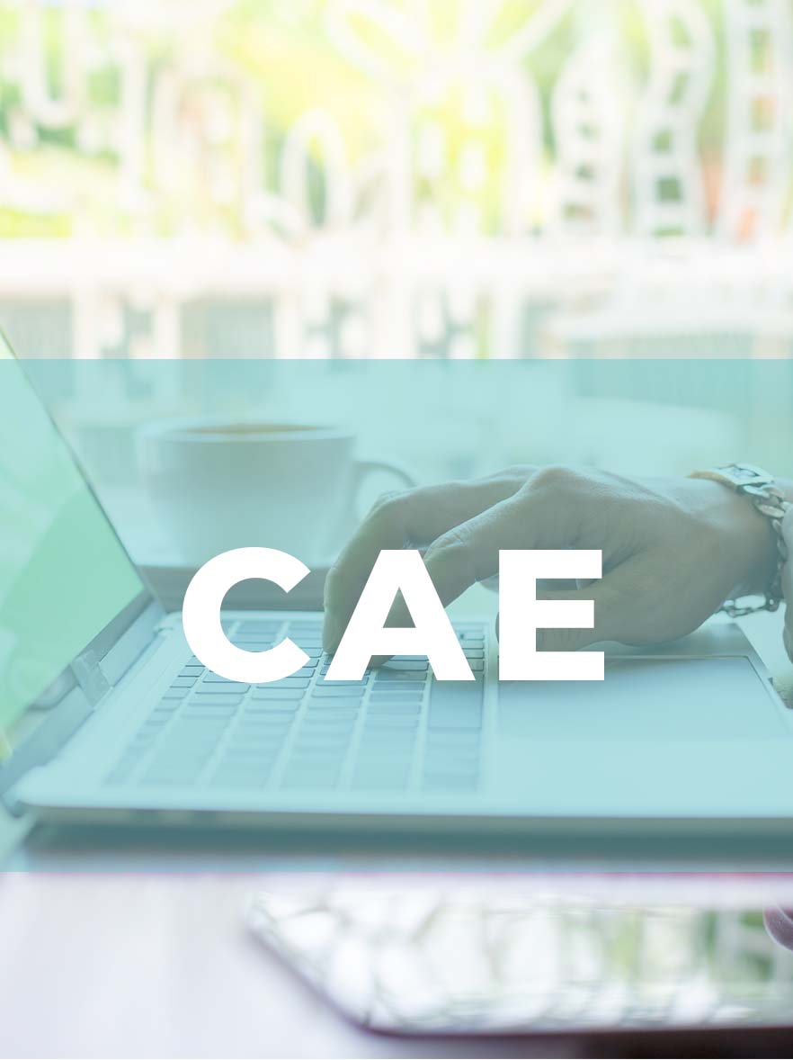 CAE-product CAE